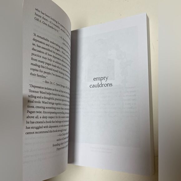 Empty Cauldrons by Terence P. Ward Paperback Book NWOT - Picture 3 of 10